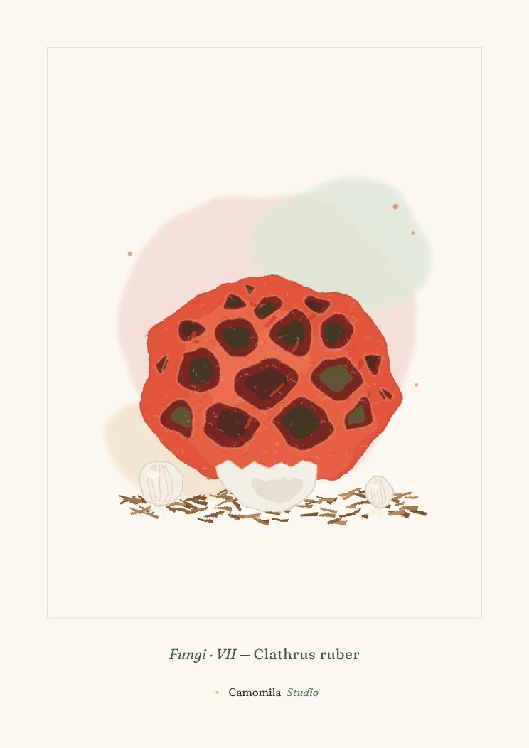 Lámina VII: Jaula roja en acuarela: una esfera hueca de brazos rojo coral con mallas irregulares, saliendo de un huevo blanco roto, junto a dos huevos cerrados sobre mantillo.